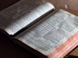 versículos sobre sansão e dalila