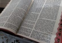 versículos sobre Barnabé, versículos sobre ser tolo
