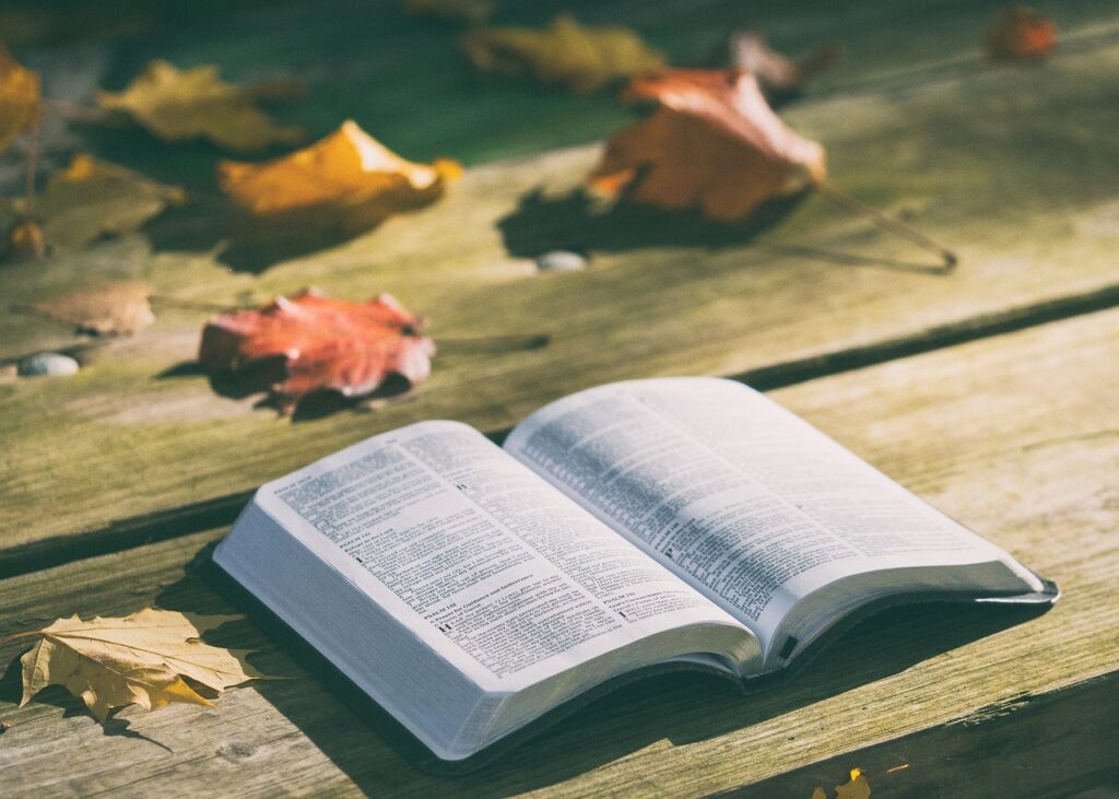 bíblia livramento versículos sobre belém, não temas versículos, sansão e dalila devocional