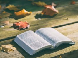 bíblia livramento versículos sobre belém, sansão e dalila devocional