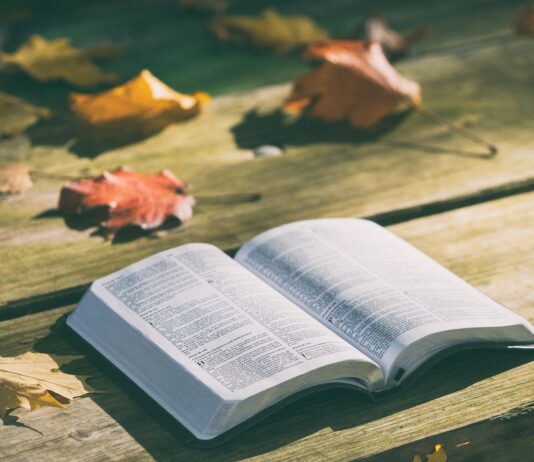 bíblia livramento versículos sobre belém, sansão e dalila devocional