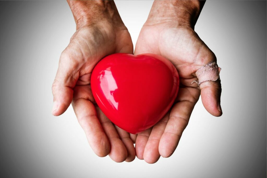O bom samaritano amor incondicional, devocional / devocional - Reprodução Pixabay