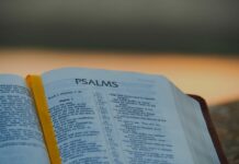 livro de Salmos poderosos - Reprodução Canva
